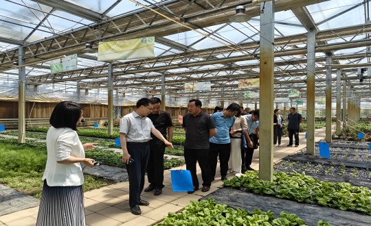 2024年6月27日，中国绿色食品发展中心有关辅导莅临农业总公司调查调研_副本.jpg
